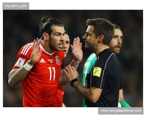 爱尔兰主帅表示球队需踢出近乎完美的比赛才能有机会从强敌身上抢分